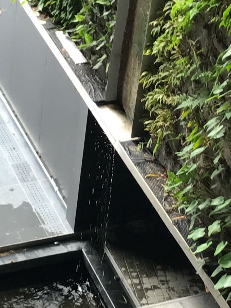 Green Wall Stainless Steel Weir