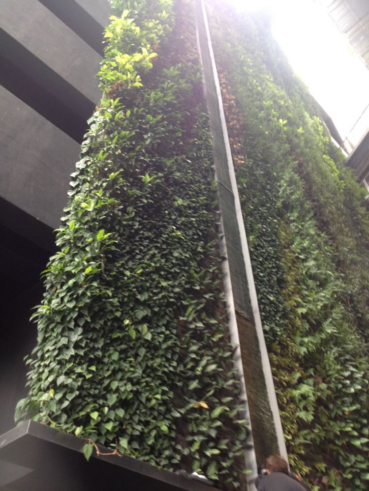 Green Wall Stainless Steel Weir