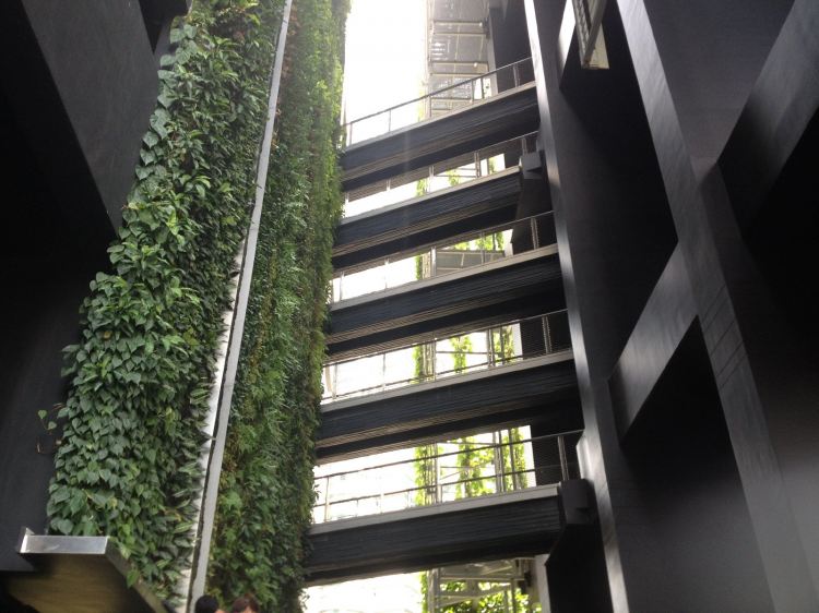 Catwalk Steel Grating