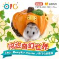 OC36 OIC Small Pumpkin House
