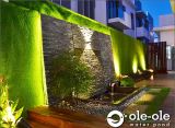 ECOP17.Water Ponds Malaysia.Kolam Ikan.Hiasan.Johor.Fengshui.Garden.Koi fish.Landscape.ˮ.԰.