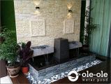 ECOP19.Water Ponds Malaysia.Kolam Ikan.Hiasan.Johor.Fengshui.Garden.Koi fish.Landscape.ˮ.԰.