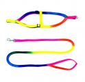 PCC-25 Seven Color Harness