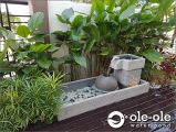 P22BL.Water Pond Feature Design Malaysia.Kolam air hiasan ikan.Johor.Fengshui.Home Deco.ˮ.԰.