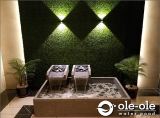 P22WDXL.Water Pond Feature Design Malaysia.Kolam air hiasan ikan.Johor.Fengshui.Home Deco.ˮ.԰.