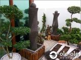 P25D.Water Pond Feature Design Malaysia.Kolam air hiasan ikan.Johor.Fengshui.Home Deco.ˮ.԰.