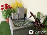 P33S.Water Pond Feature Design Malaysia.Kolam air hiasan ikan.Johor.Fengshui.Home Deco.ˮ.԰.