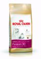 ROYAL CANIN PERSIAN ADULT 2KG