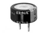 Memory Capacitor