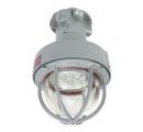 Explosion Proof Lighting2