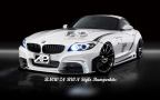 BMW Z4 RWN Style Bumperkits