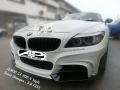 BMW Z4 RWN Style Bumperkits