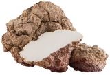 Tiger Milk Mushroom