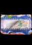 SOTONG FU ZHU ROLL