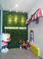 DogHouse