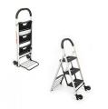 Multi Purpose Ladder with trolley