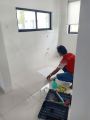 Tinted Film -Ecotropics ,jb