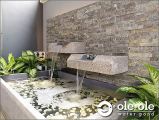 P19.Water Ponds Malaysia.Kolam Ikan.Hiasan.Johor.Fengshui.Garden.Koi fish.Landscape.ˮ.԰.
