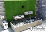 P19GXXL.Water Ponds Malaysia.Kolam Ikan.Hiasan.Johor.Fengshui.Garden.Koi fish.Landscape.ˮ.԰.