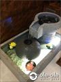 P22B.Water Ponds Malaysia.Kolam Ikan.Hiasan.Johor.Fengshui.Garden.Koi fish.Landscape.ˮ.԰.