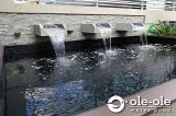 ECOP193.Water Ponds Malaysia.Kolam Ikan.Hiasan.Johor.Fengshui.Garden.Koi fish.Landscape.ˮ.԰.