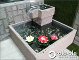 P22M.Water Ponds Malaysia.Kolam Ikan.Hiasan.Johor.Fengshui.Garden.Koi fish.Landscape.��ˮ��.԰��.���