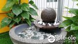 P61.Water Ponds Malaysia.Kolam Ikan.Hiasan.Johor.Fengshui.Garden.Koi fish.Landscape.ˮ.԰.