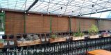 Bamboo Blinds -Horizon Hill