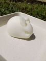 Rabbit Jelly (milk Taste with longan)-RM7.00/pc (Min Order 10pcs)