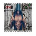 Fashion Style Curtain 