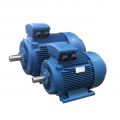 BM Series Motor