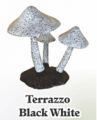 Terrazzo Black White