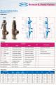 Arita Safety Valve