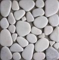 AS-SP 001(WHITE)