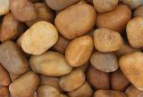 AS-YELLOW COBBLE