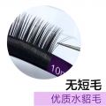 NAGARAKU Premium Eyelash Extensions ɫ޽ӽë 0.05 C/D 10mm