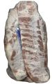 CARNIQUES FROZEN PORK SPARERIB  Ź 10kg			