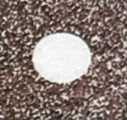 PS 010
