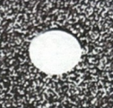 PS 009