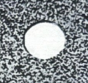 PS 008