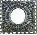 PS 007