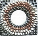 PS 006