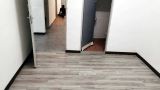 SPC FLOORING, VINLY TILES,WOODEN FLOORING, FLOORING SKUDAI,JOHOR,SINGAPORE