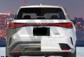1 2023 Lexus RX500h rear