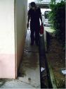 Kerja-Kerja Pembasmian Vektor(Lipas And Lalat)