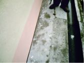 Kerja-Kerja Pembasmian Vektor(Lipas And Lalat)
