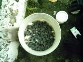 Kerja-Kerja Penyediaan Pembasmian Tikus