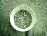 Kerja-Kerja Penyediaan Pembasmian Tikus