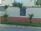 fencing wall x   