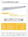 T5 FLUORESCENT LAMP